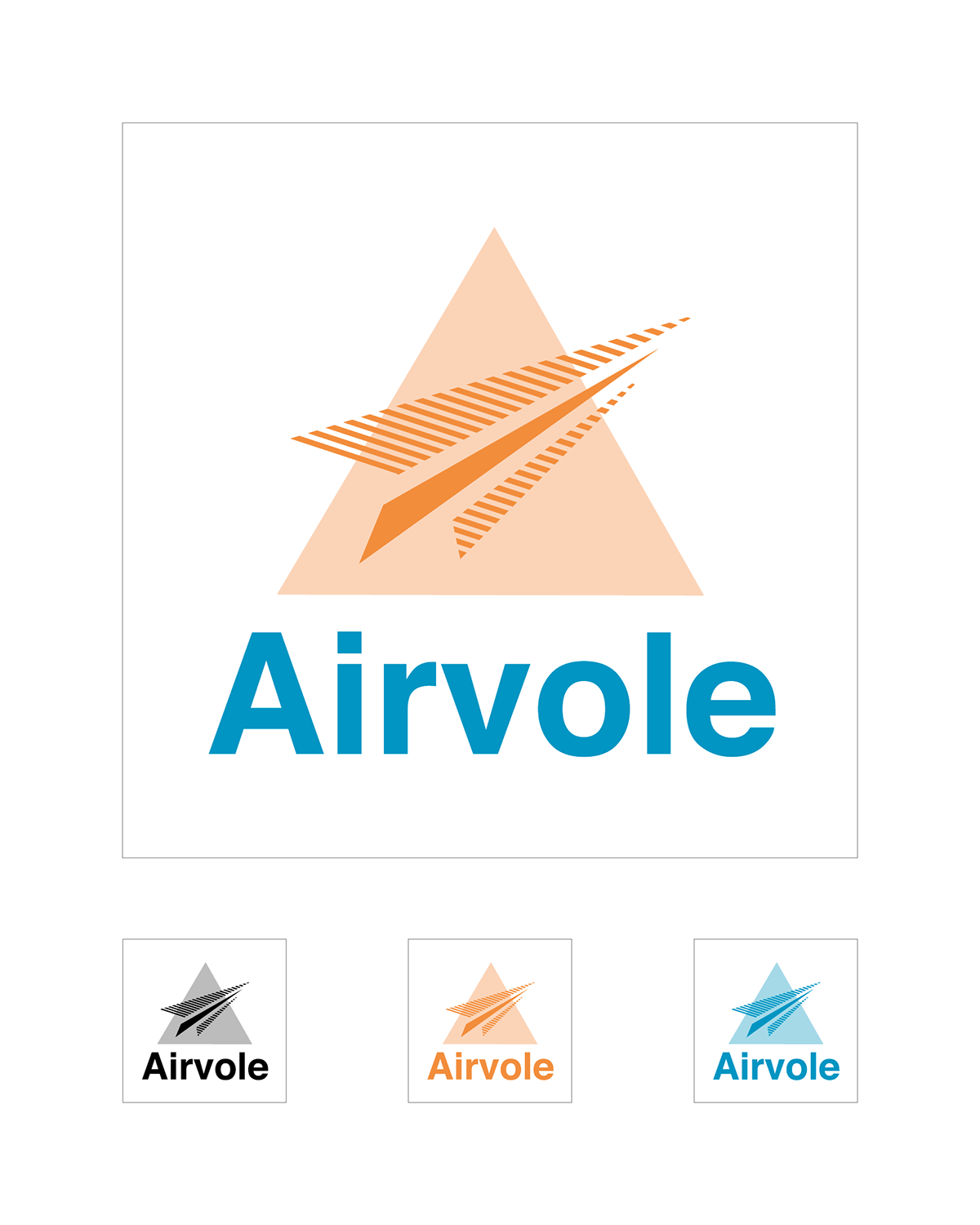 visual identity Airvole Transport aérien airplane logo identification visuelle