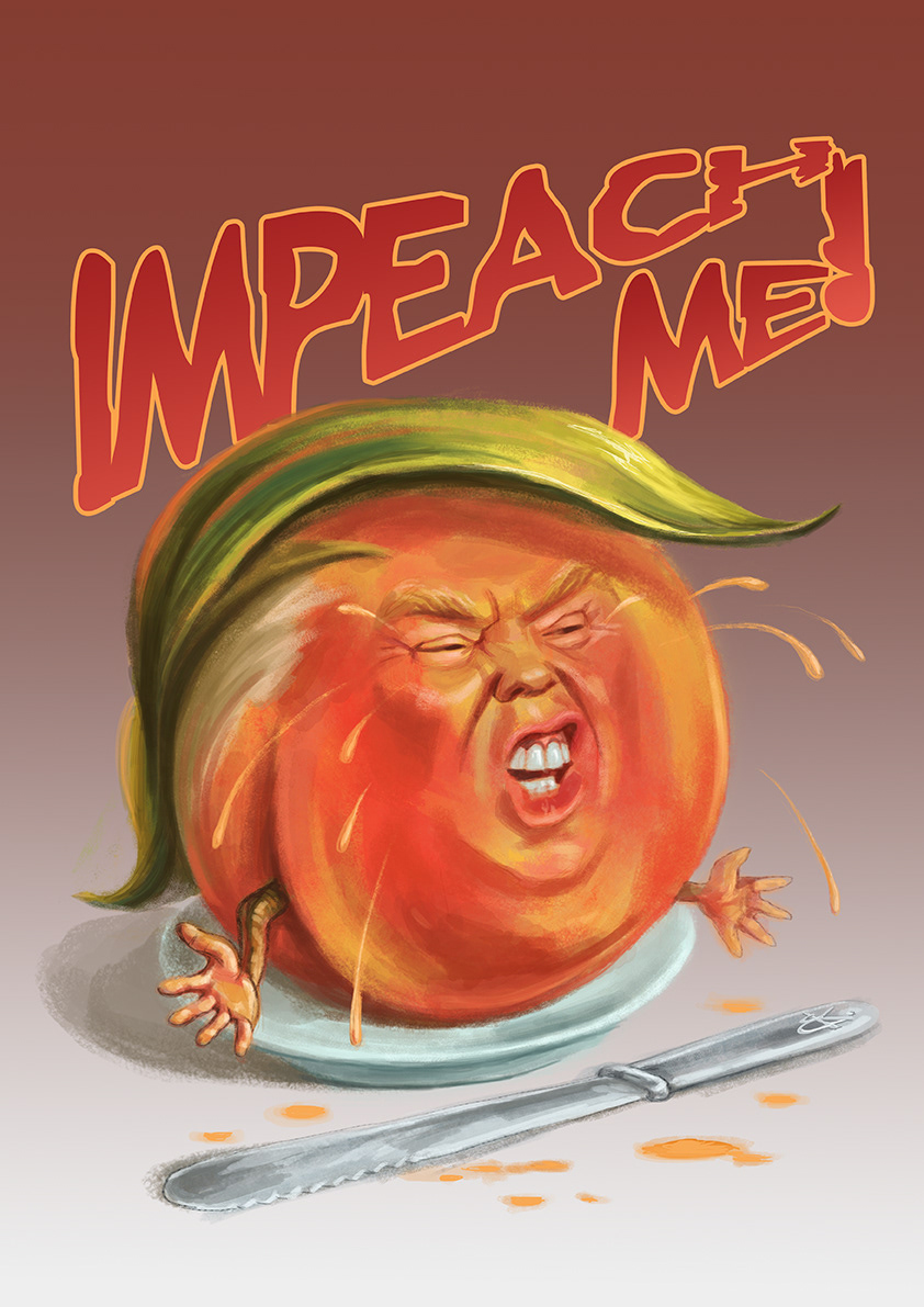 Trump cartoon caricature   ILLUSTRATION  political portrait