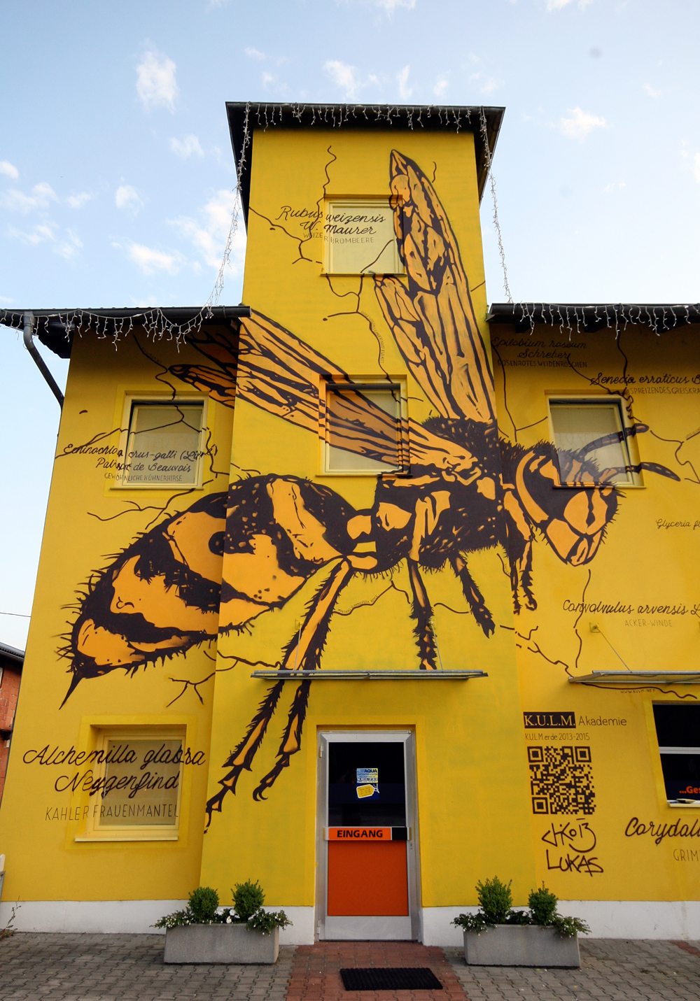 pischelsdorf wasp Wespe hand pollinate bestäuben b54 biodiversity Biodiversität vielfalt styria steiermark pflanzen plants