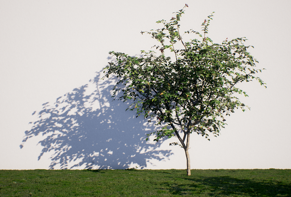 Unreal Engine 4 UE4 3D model 3d Foliage 3d tree game engine archviz architectural visualization