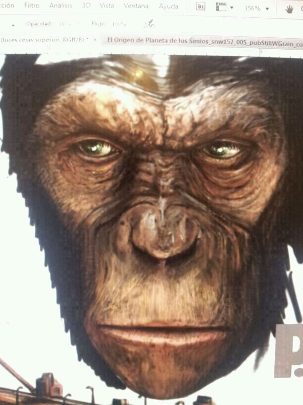 Simio monkey gorilla photoshop colors fine fine art ILUSTRA graphic designer eyes