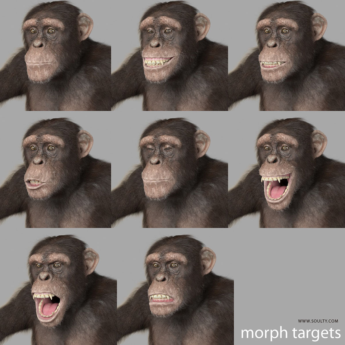 chimpanzee chimp 3d chimp chimp 3d model primate monkey making of Breakdown time lpase Zbrush ornatrix cg hair hair groom realistic animal