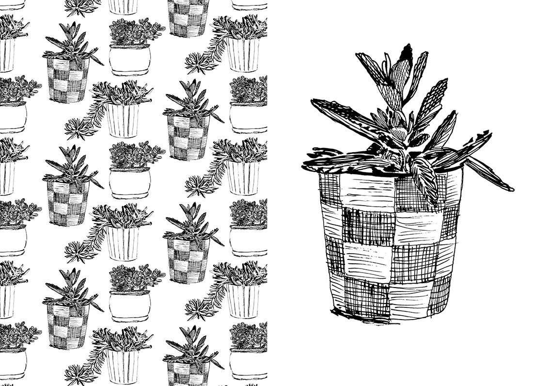 houseplant plants Succulent tshirt micron