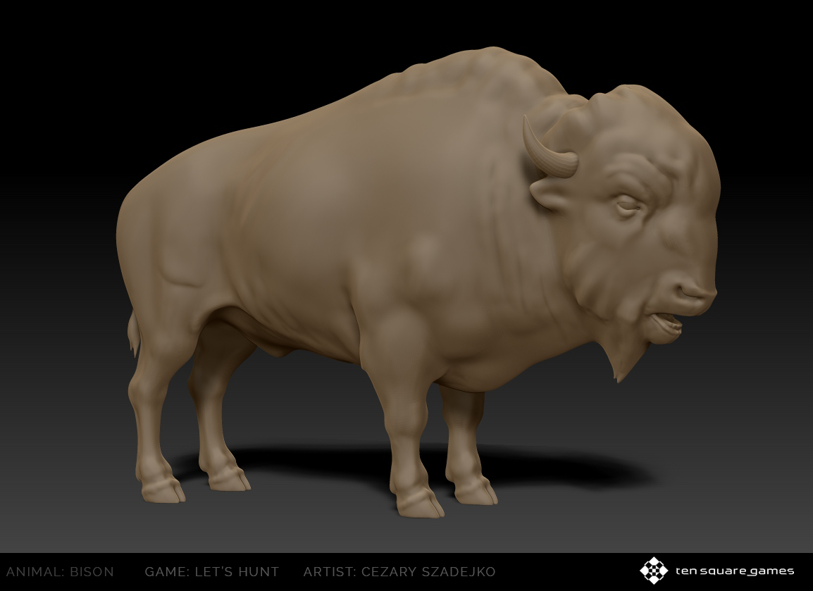 bison 3D model Zbrush 3dsmax Cat TopoGun photoshop Scultping modeling animal game hunter Hunting