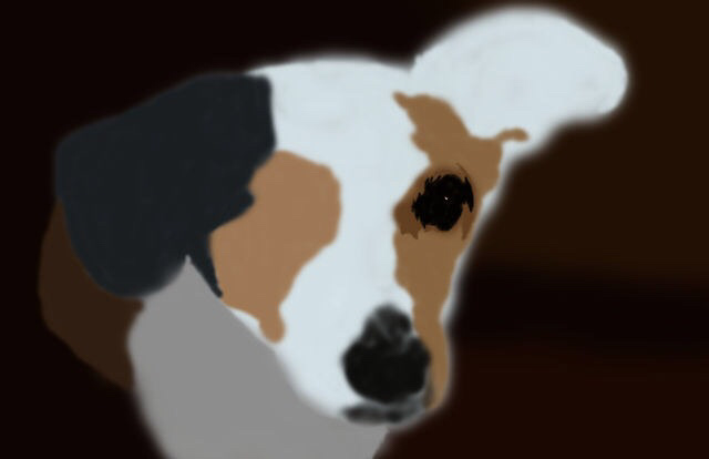 digital painting   digital painting class assignment Project dog adobe photoshop brushes layers