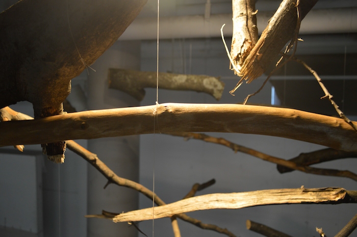 site specific processing branches treees Nature Spatial Dynamics installation