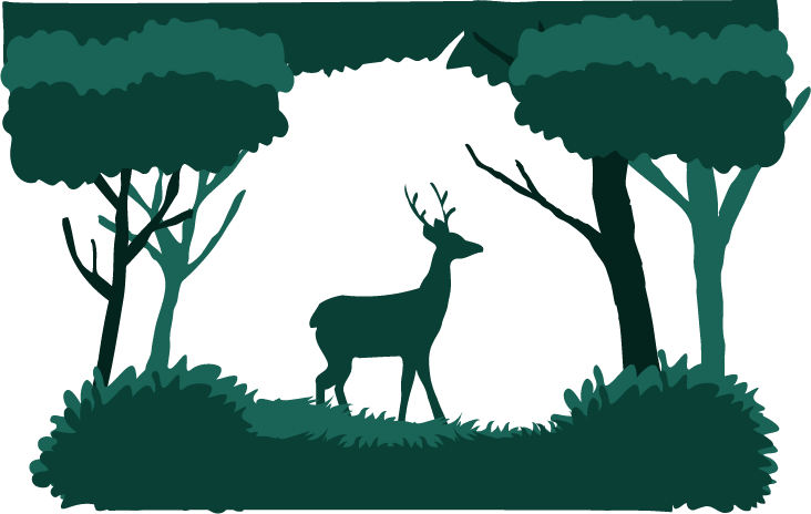 2D Animation 3D after effects animation  motion design deer Forests mountains Nature wonderland