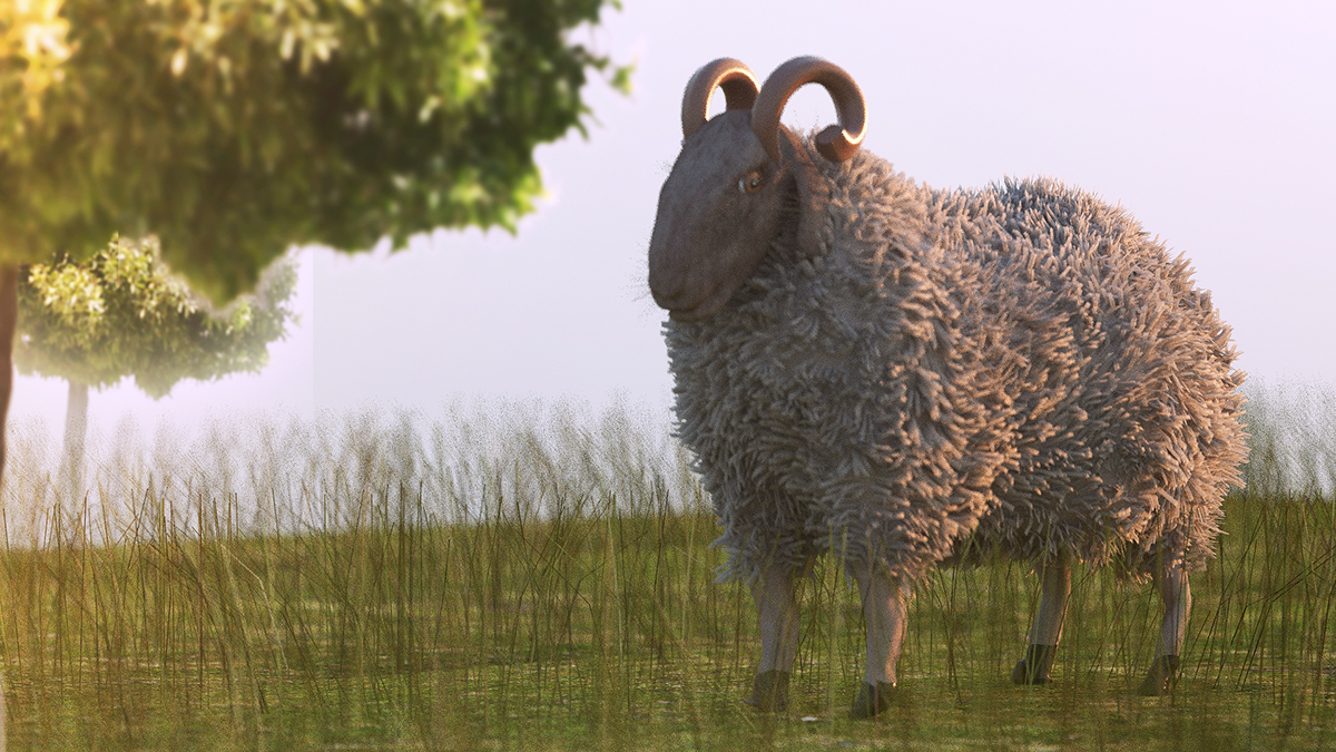 sheep animal CGI Fur garden grass natural