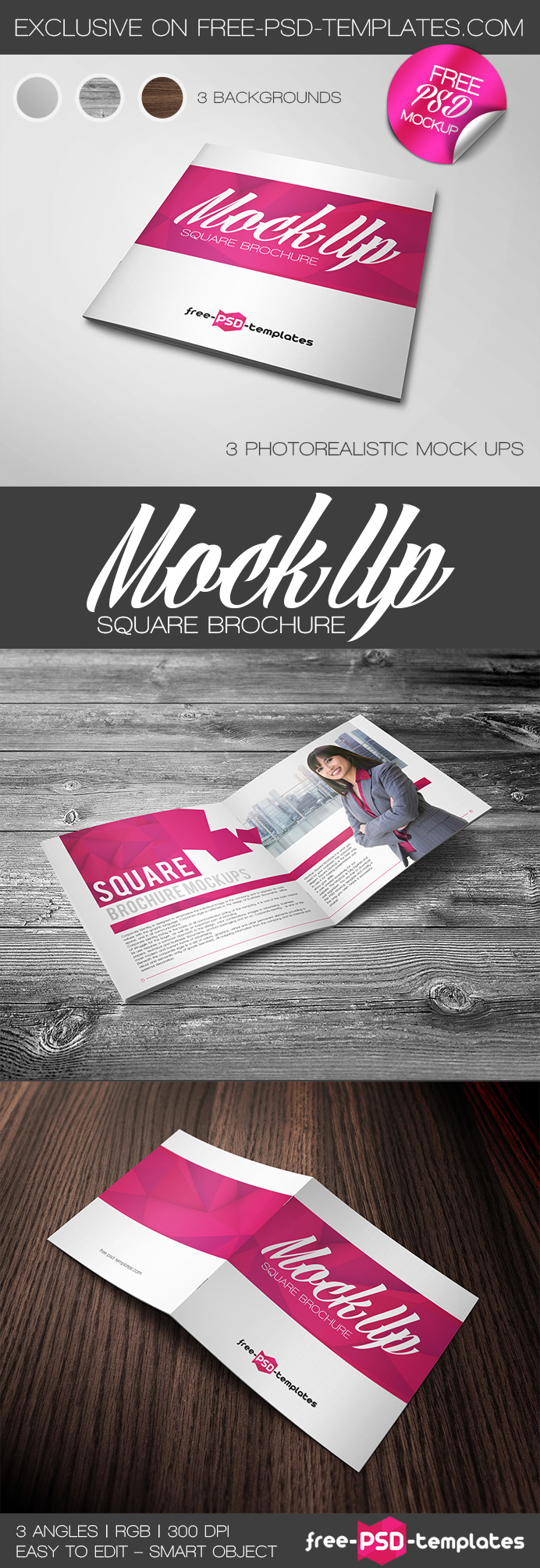 book Booklet brochure catalog clean Equilateral folder journal magazine Mockup psd free download
