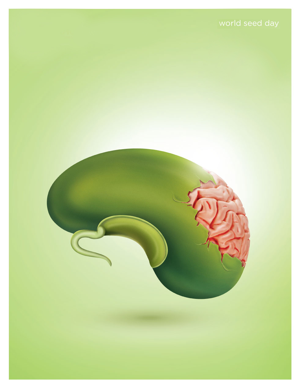 seed forest snake chappal kidney brain mother baby illustrationimage retouch manipulation