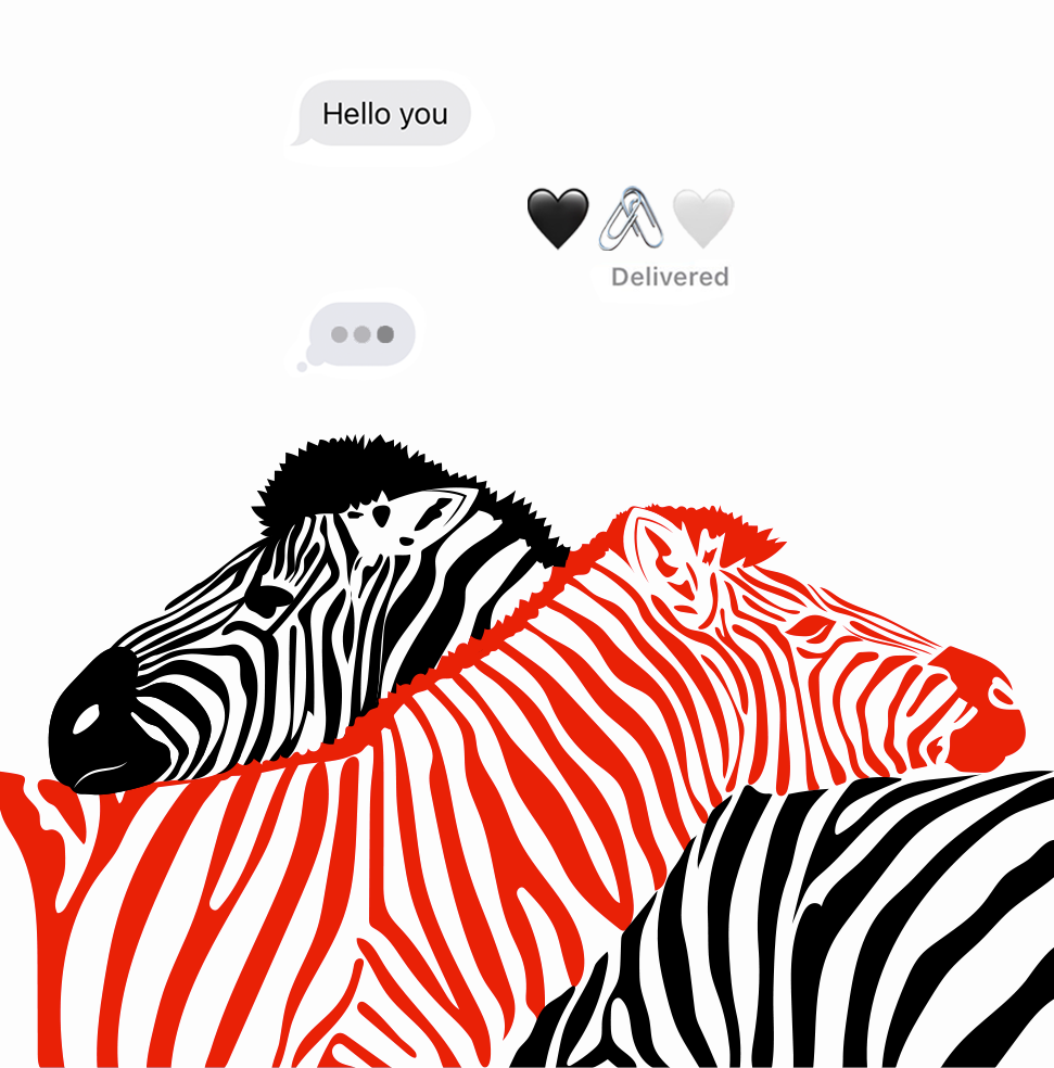 art artist delivery Digital Art  ILLUSTRATION  Love woman art zebra zebras