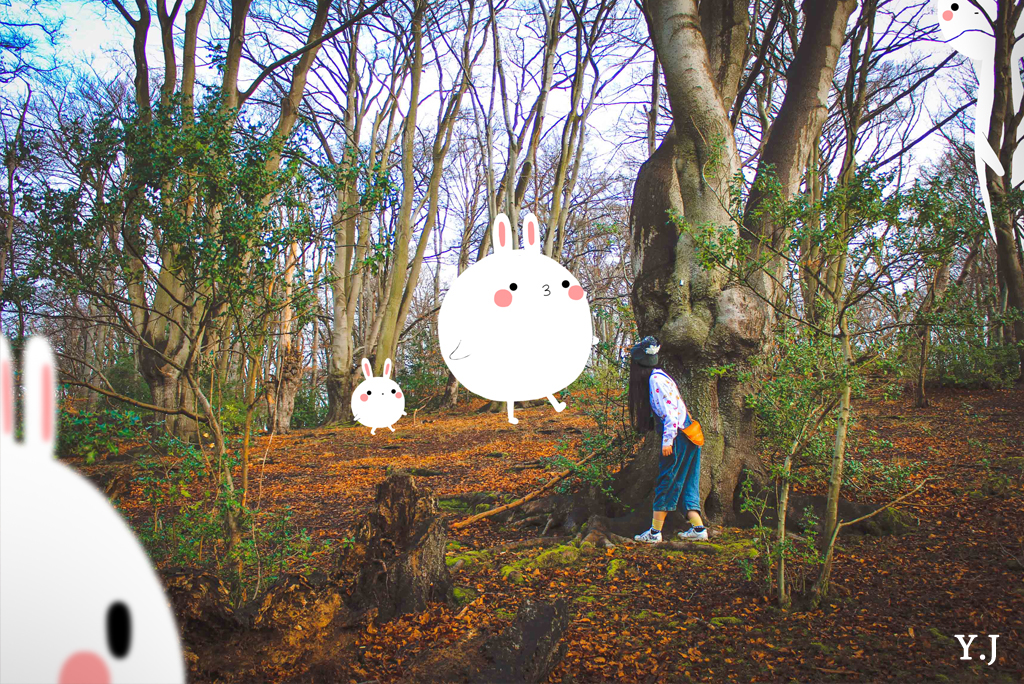 mixed media photograhpy fantasy fairy tale children cute kawaii bunny bunnies forest London collab mcraft