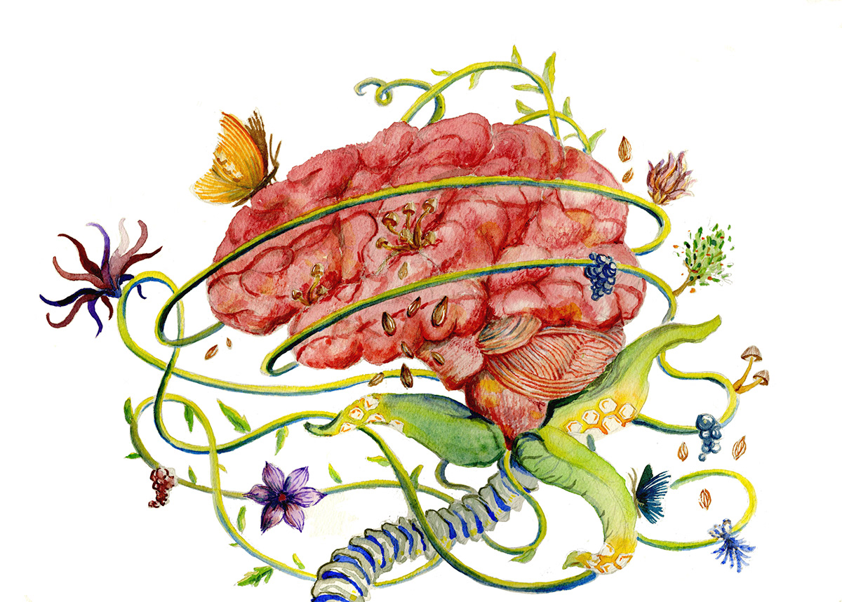 watercolor brain organ organic plants vegan Nature Love thoughts red