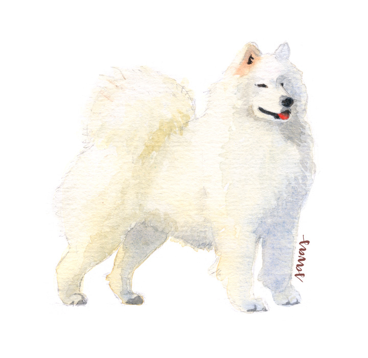 dog watercolor painting   Handlettering