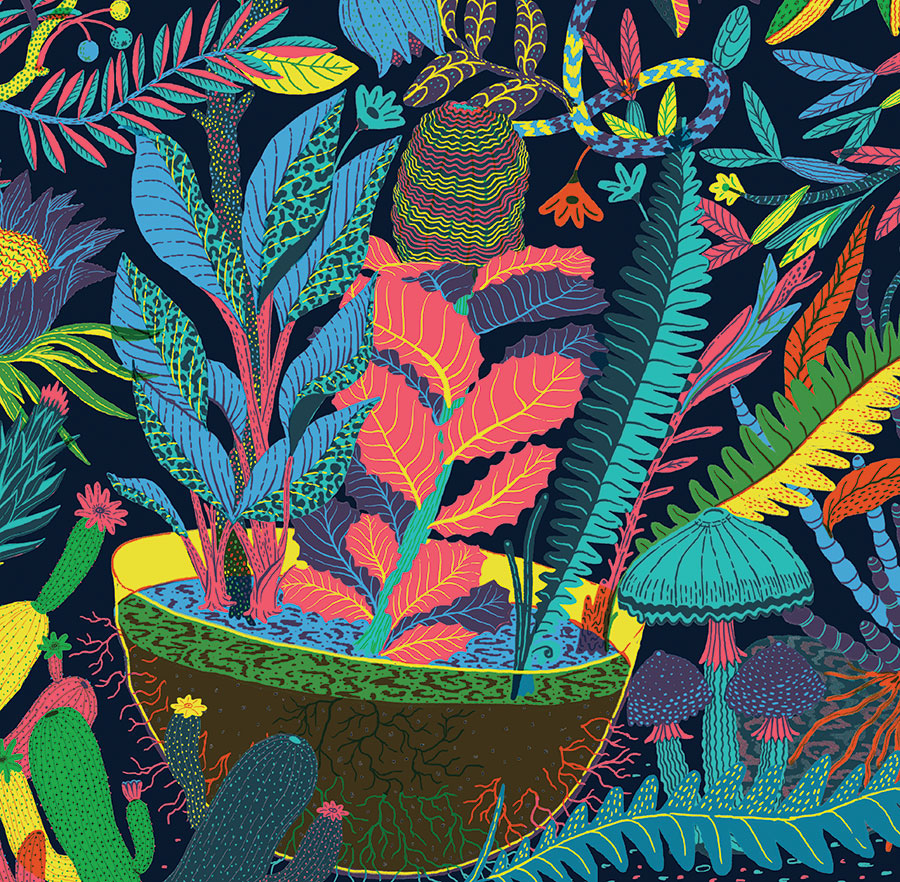 plants Nature Illustrative draw paint botanical scientific illustration ad campaign