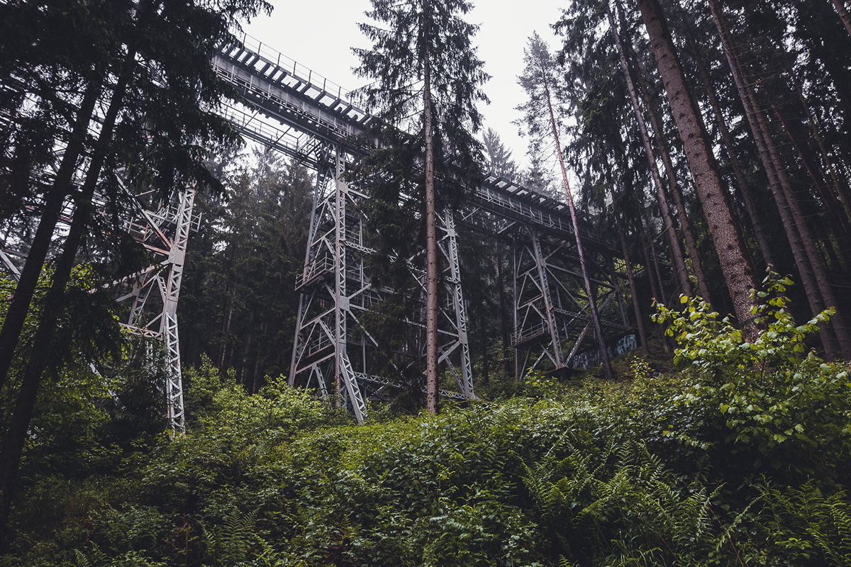 bridge dark foggy forest Moody murder mystery mysterious railway woodland