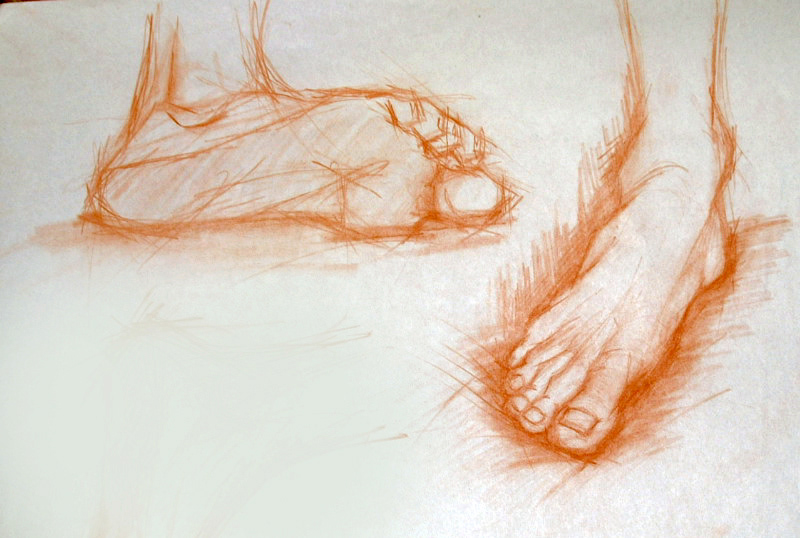 life drawing anatomy Human Body Figure Drawing