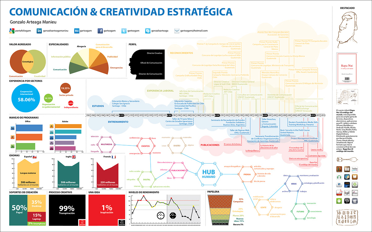 CV Resume  curriculum vitae  infographics  creativity  communication  Strategy