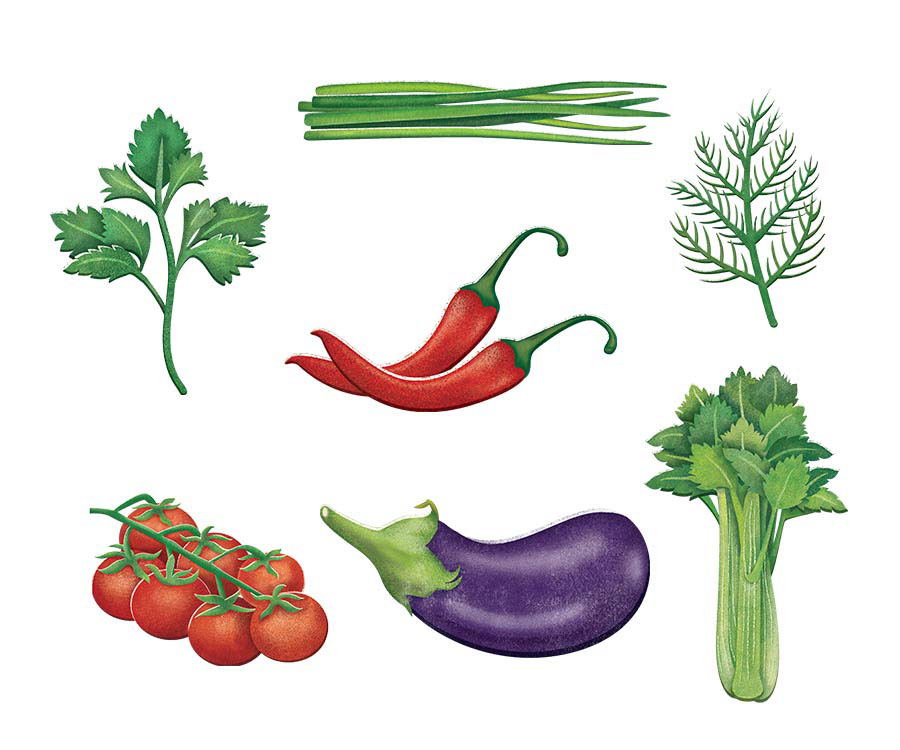 ILLUSTRATION  vegetable Food  graphic Event seed