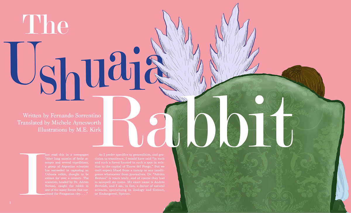 the ushuaia rabbit pink short story type design rabbit