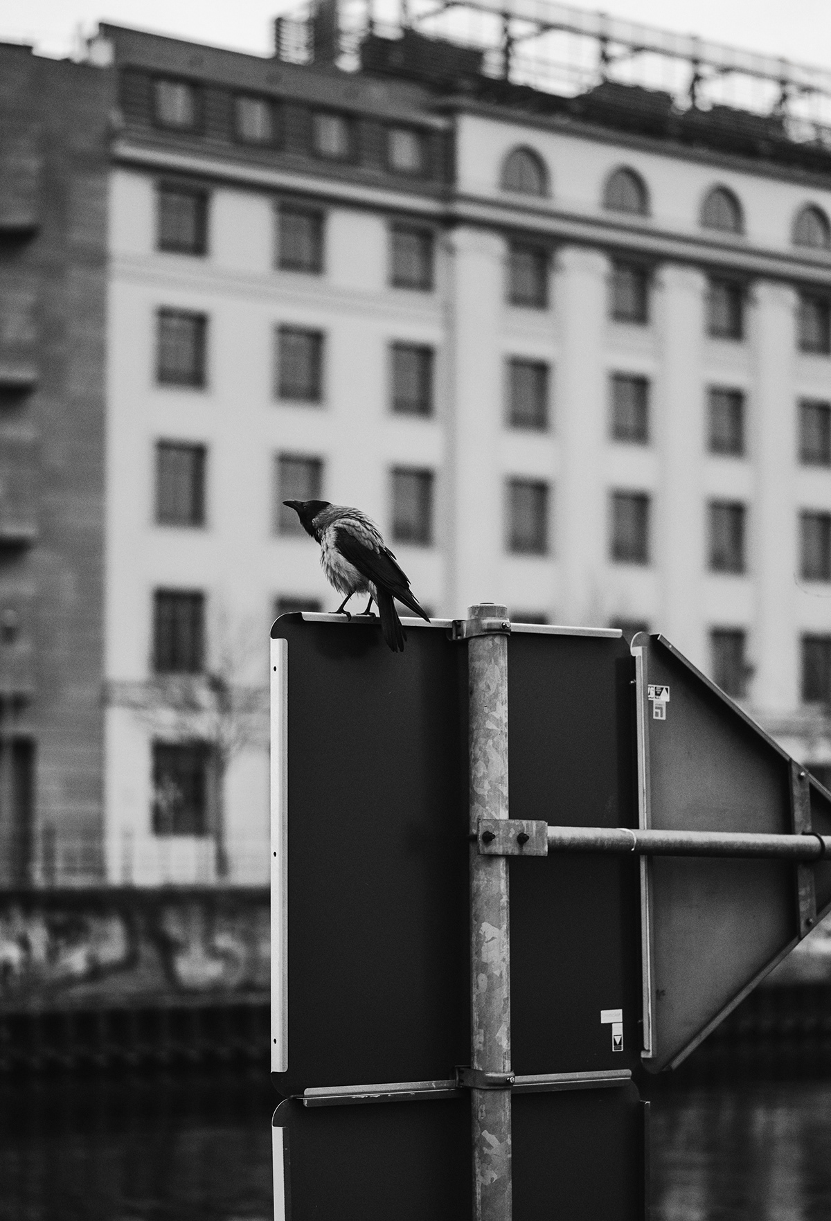 street photography city Urban Street Photography  black and white monochrome berlin Travel