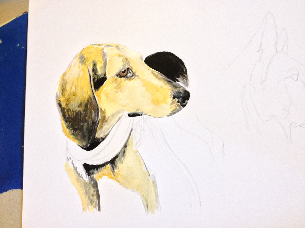 #dog #animal #illustration #acrylic #nature #love #friend #Portrait #passion #personal #realistic  #avatar #cover   #picture   #cute 