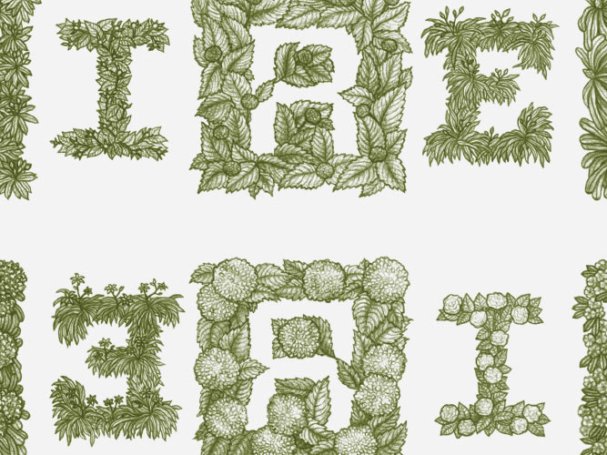 graphite pencil art lettering Handlettering Nature plants weeds bamboo animals Food  handmade produce vegetables sandwich