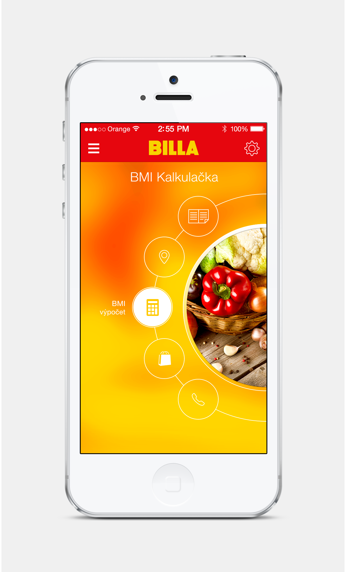 iphone app ios7 app App Desing iphone design aplication billa market landing