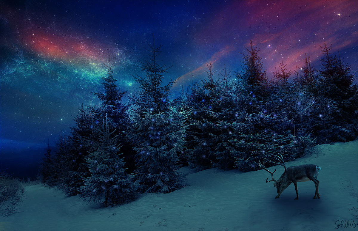 Christmas reindeer lights trees pretty blue colours snow mountain deer antlers SKY Space  nebula #Ps25Under25
