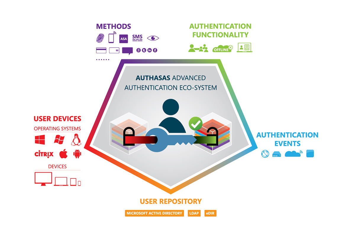 infographic eco-system authorization presentation
