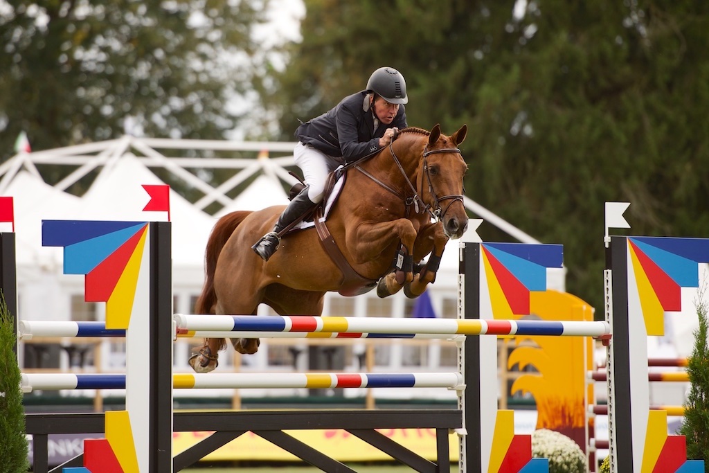 equinart digitalart horse Riding sport animalphotography
