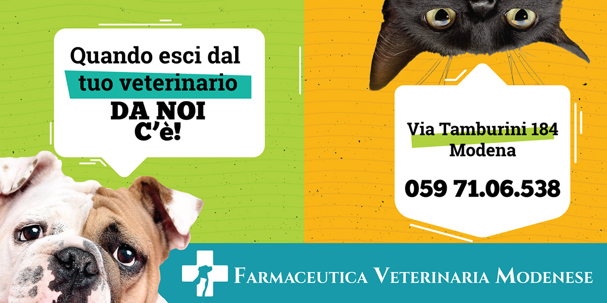 manifesto grafica grafica pubblicitaria veterinaria animali pets