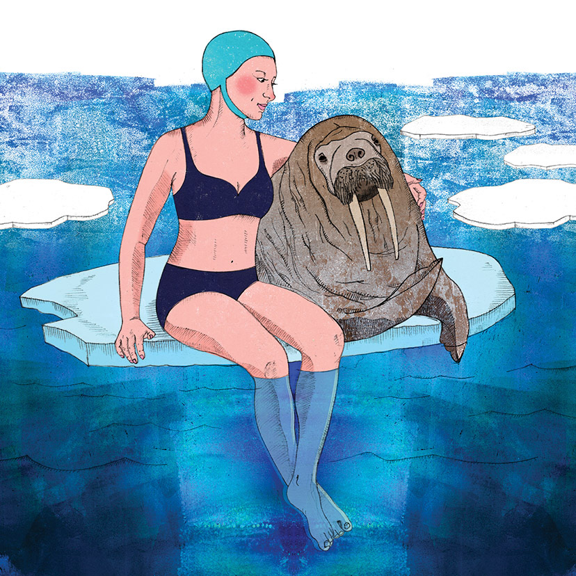 walrus the cold sea friendship