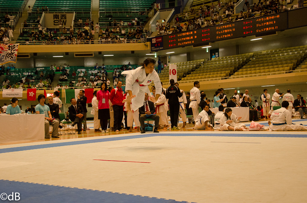 Budokan shitoryu shitokai japan karate tokyo kicks medals world Championship