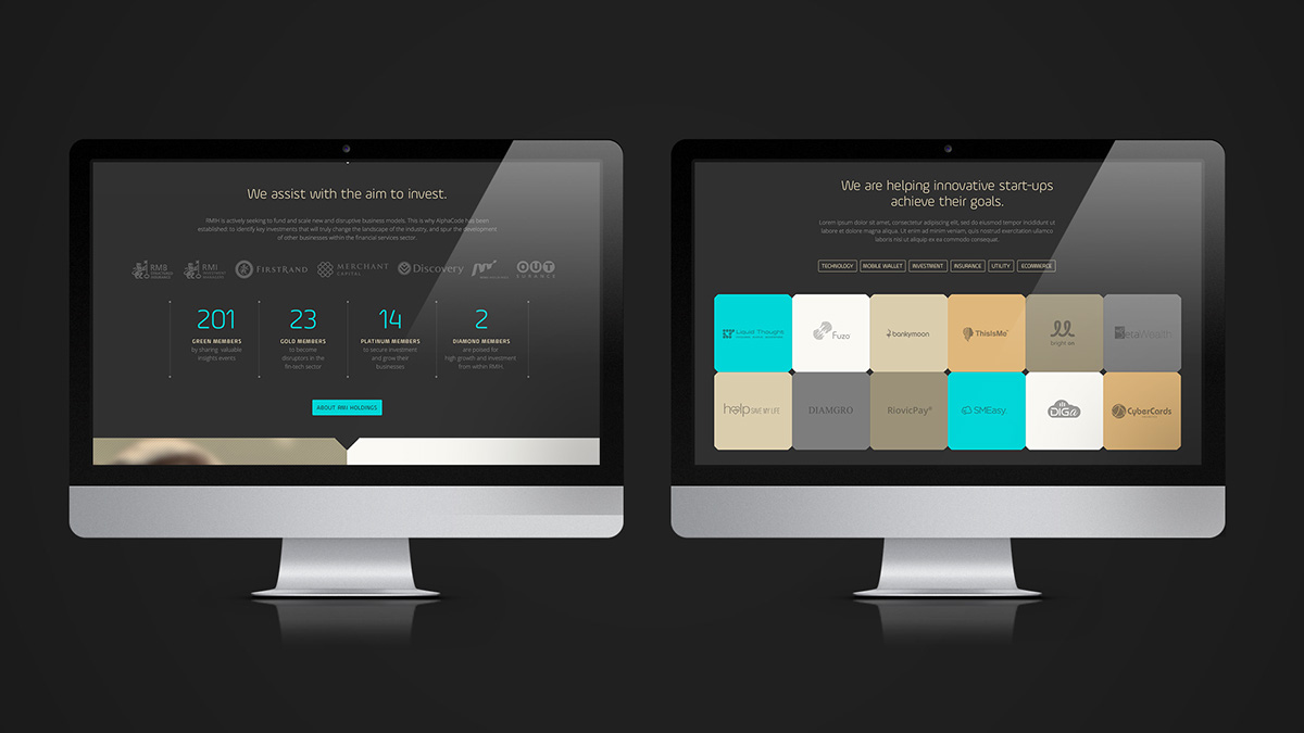 Fintech Web Design  User Experience Design ux financial entrepreneurs portals