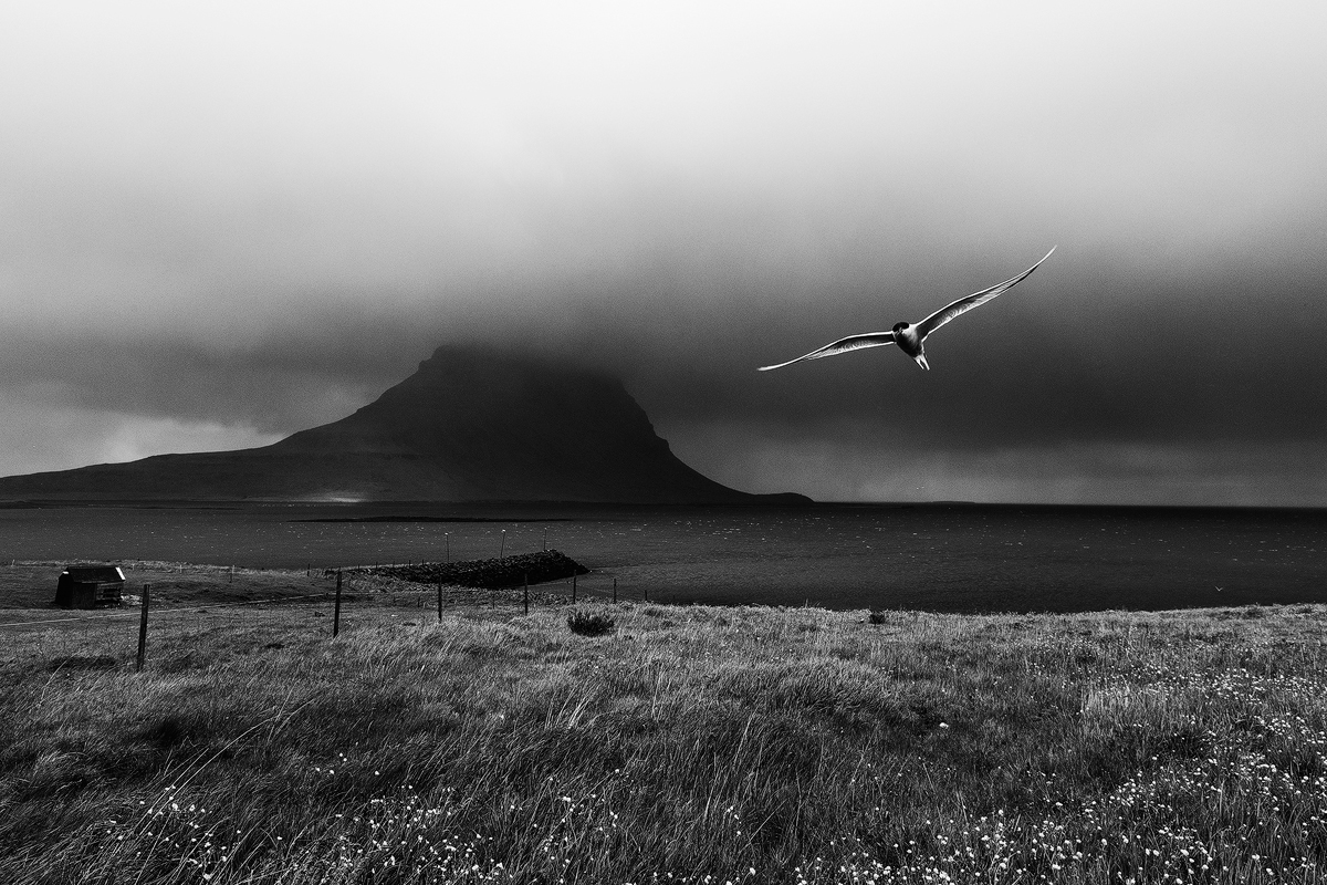 iceland Travel black and white mood contrasty