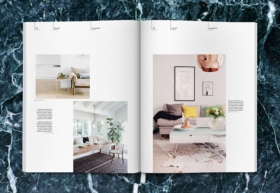 magazine Interior design furniture type