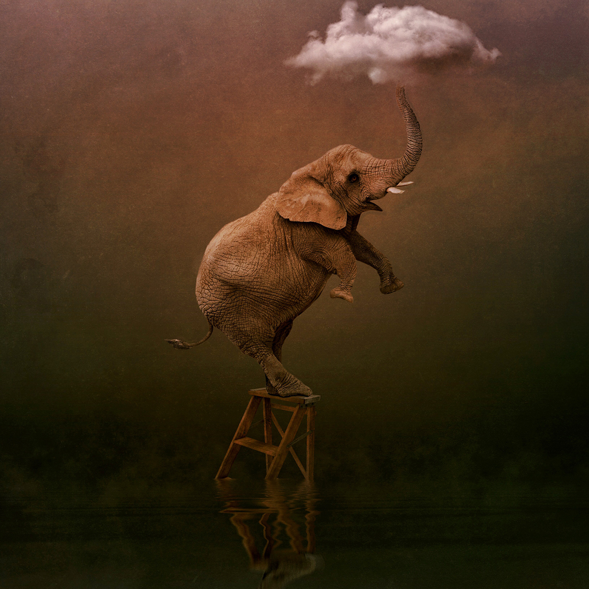 elephant art montage digital texture clouds inspire