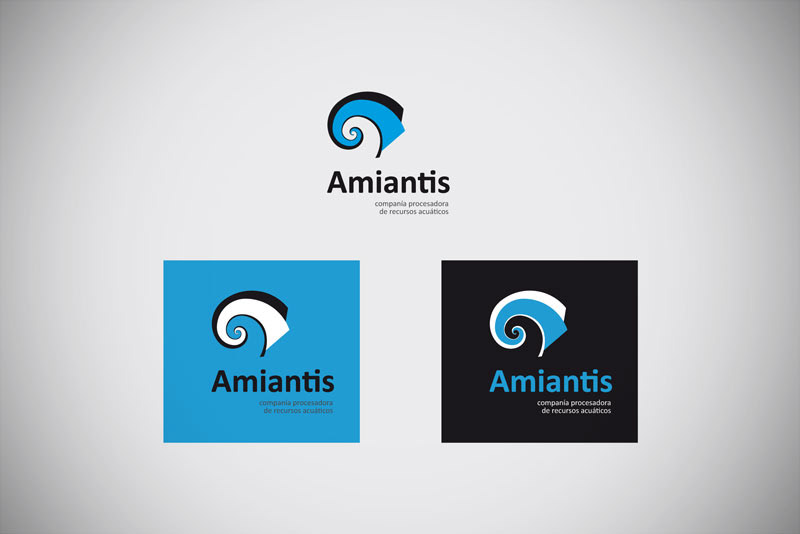 Amiantis Logotype Identity Design Web Stationery