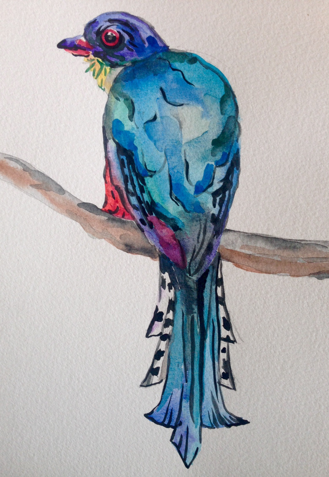 birds cuba textile Nature colorful watercolor pattern jungle Tropical