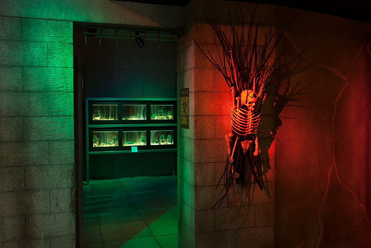 EGD environmental interactive Display artifacts pop culture Vampires zombies Mopop Exhibition 