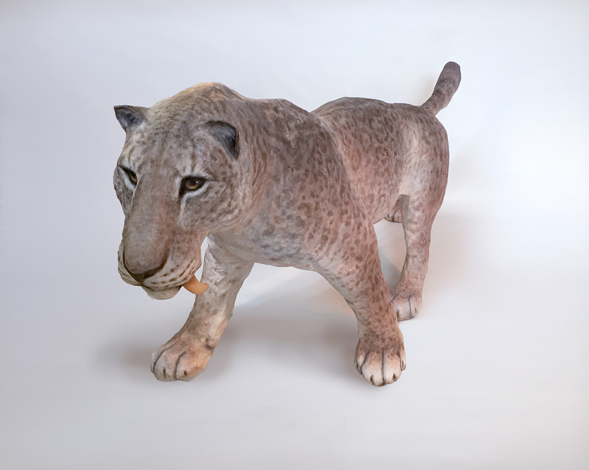 Adobe Portfolio paleontology paleoart smilodon Cat