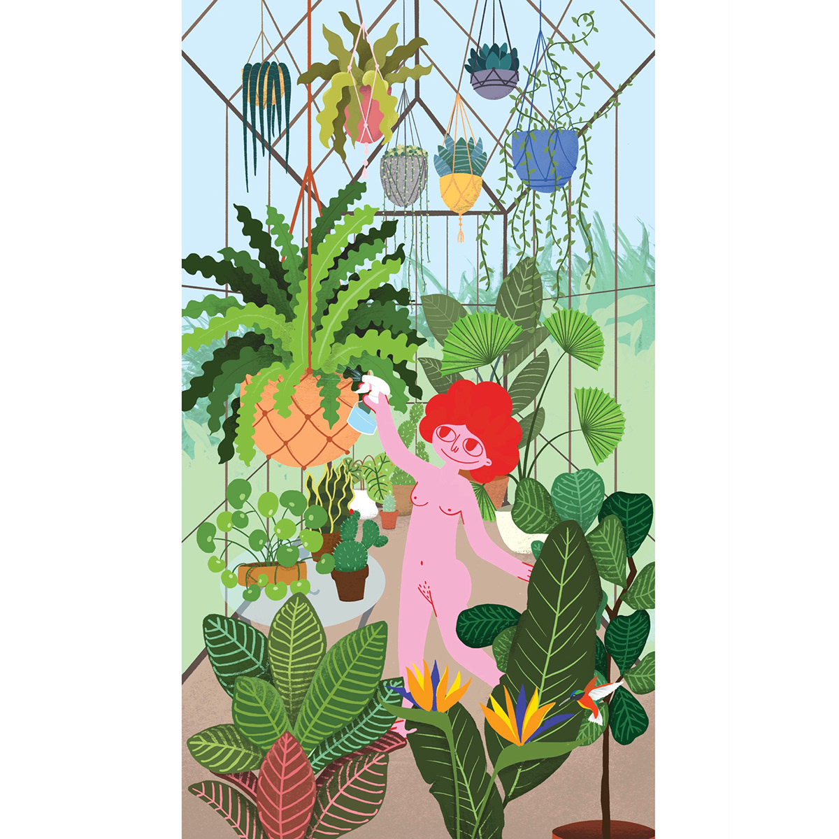 cactus dream ILLUSTRATION  ilustracion invernadero pilea plant lover plantas plants Procreate