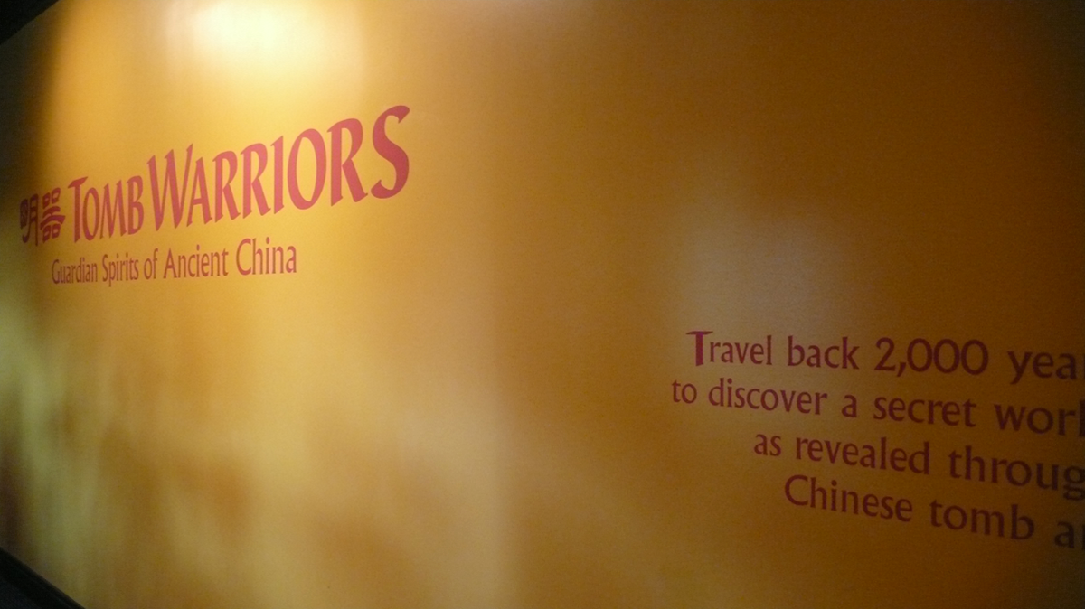 china china gallery gallery terracotta warriors dispaly exhibit tomb warriors