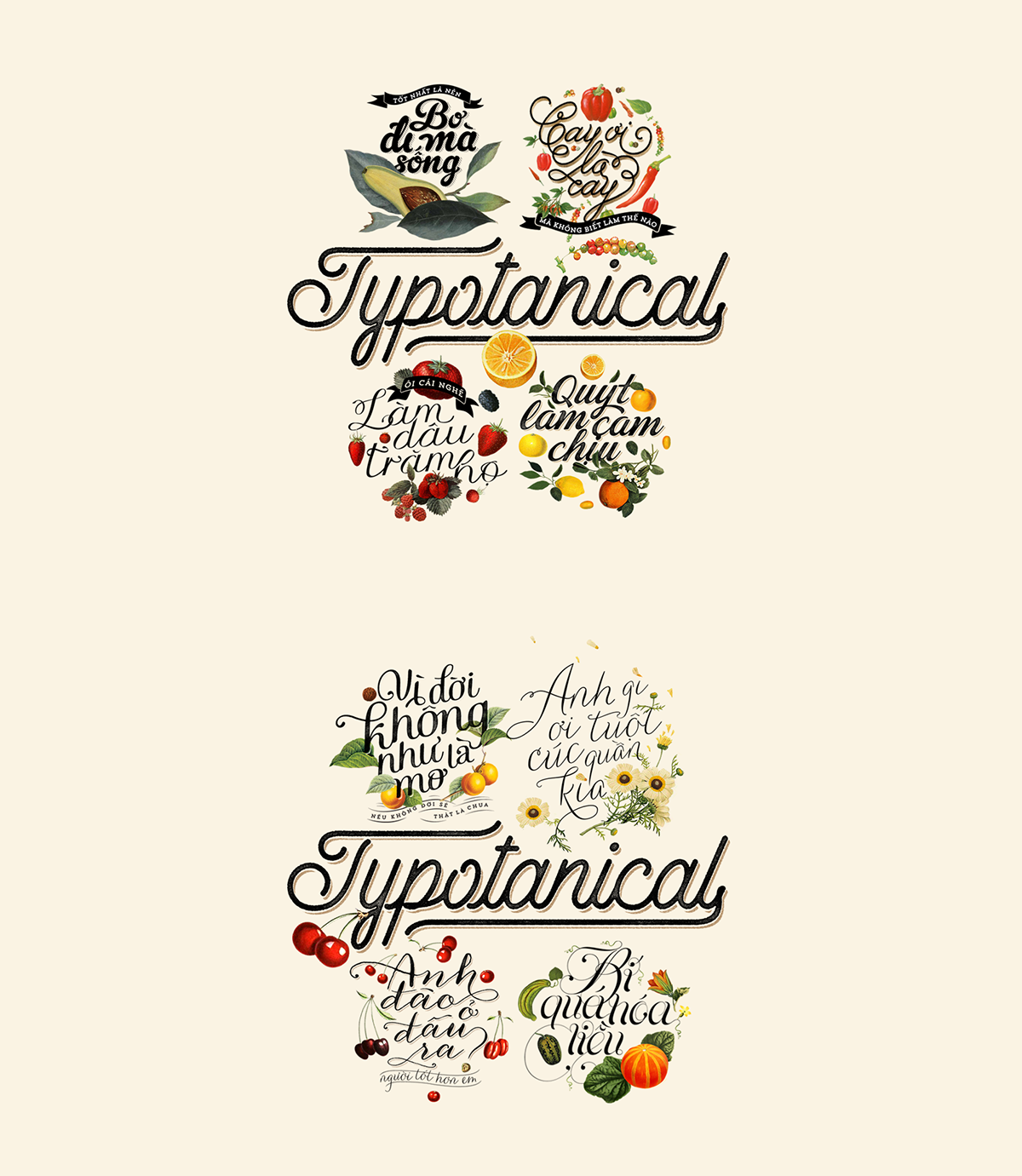 botanical Botanical Typography vintage vintage typography Retro Fruit retro typography floral