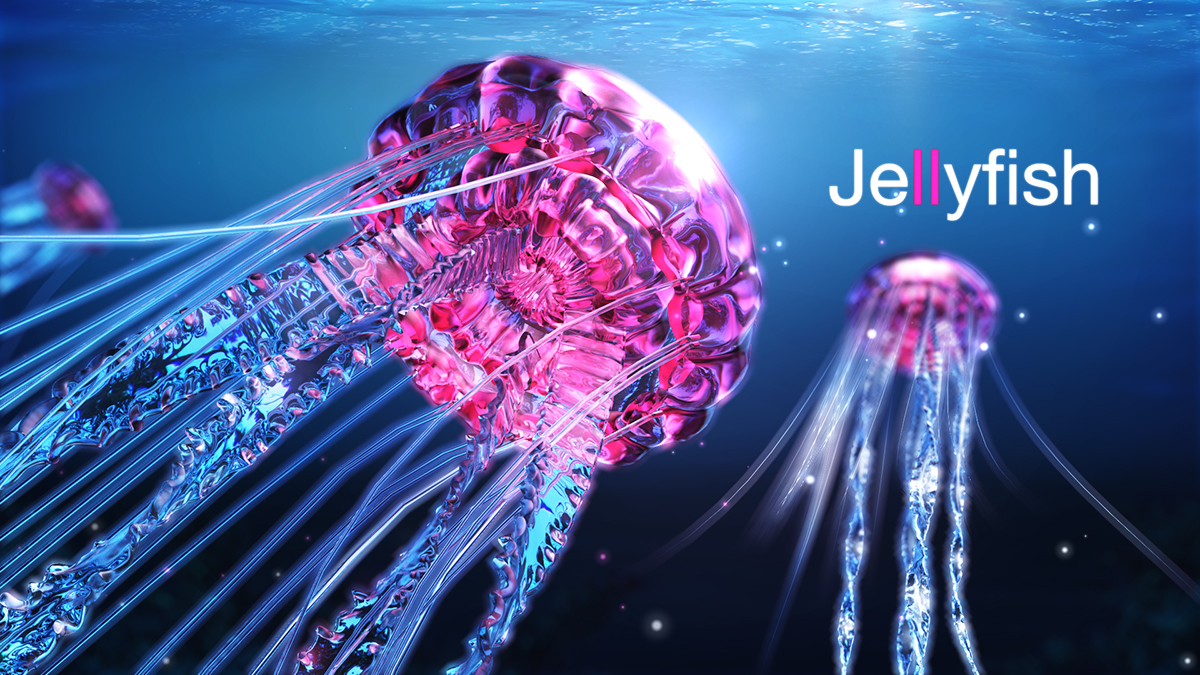 jellyfish underwater