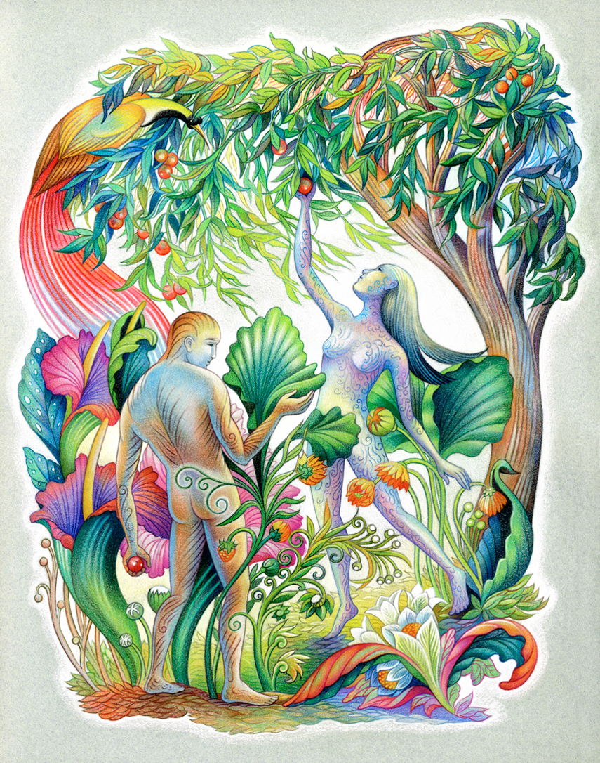 Nature plants  grasses   Garden Indegenious   muse detail arts coloured pencils paradise Adam & Eve genesis