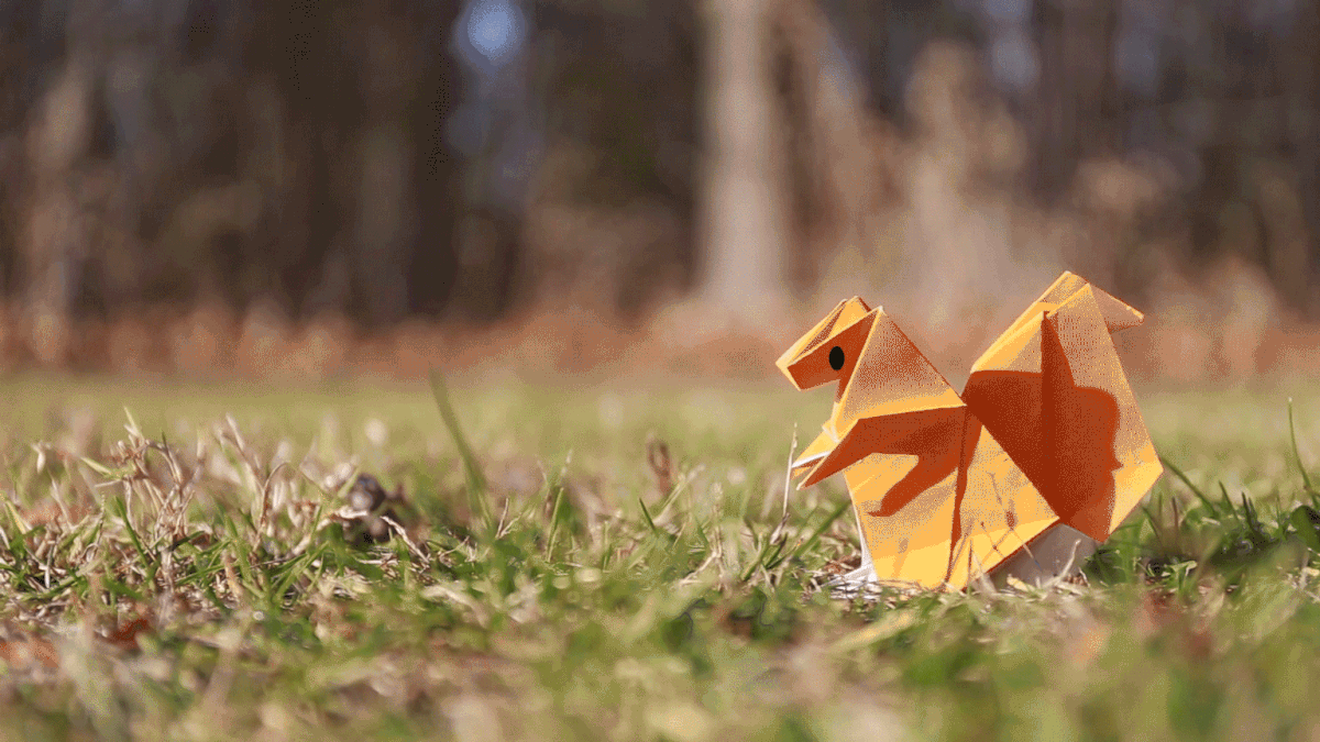 Adobe Portfolio animation  stop animation origami 