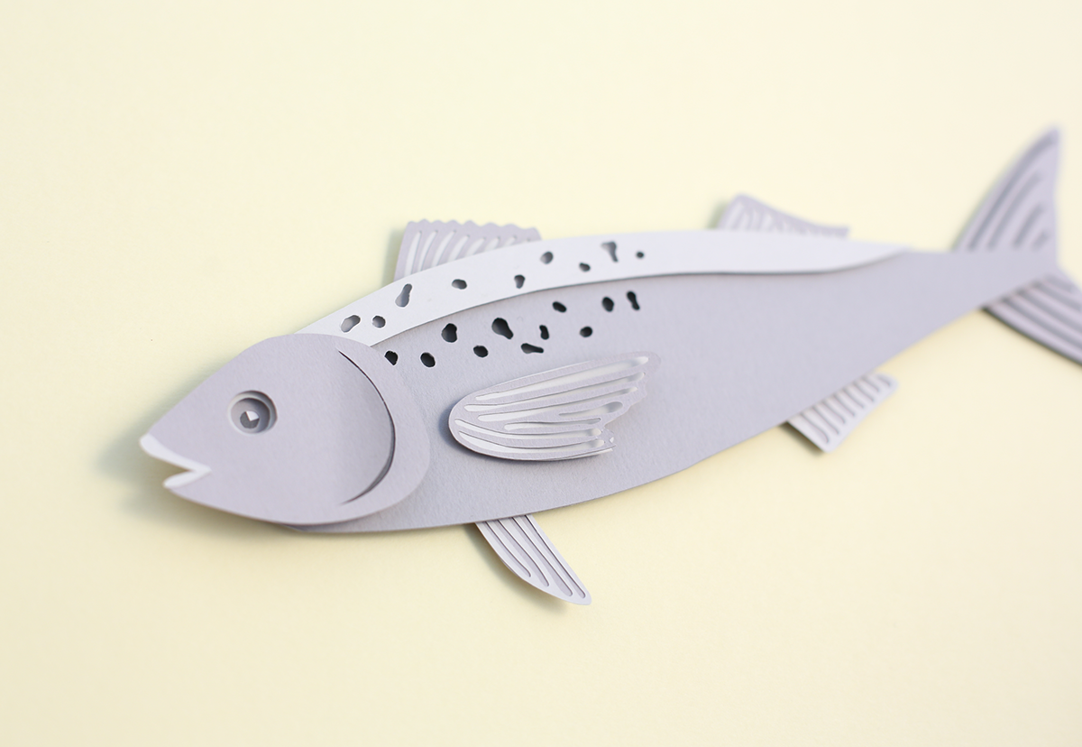 sierra magazine paper craft paper art paper cut fish coral Sushi sea seaweed Sustainable fishing swimming paper pastel