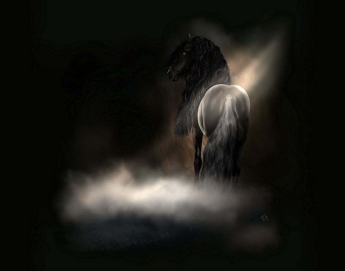 Friesian horses fries paard black stallion fantasy Caves dust proud stallion animal Friesland
